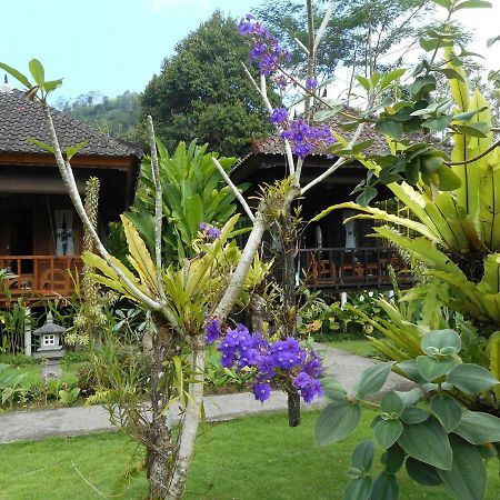 Kubu Alas Tunggal Villa Sidemen  Luaran gambar