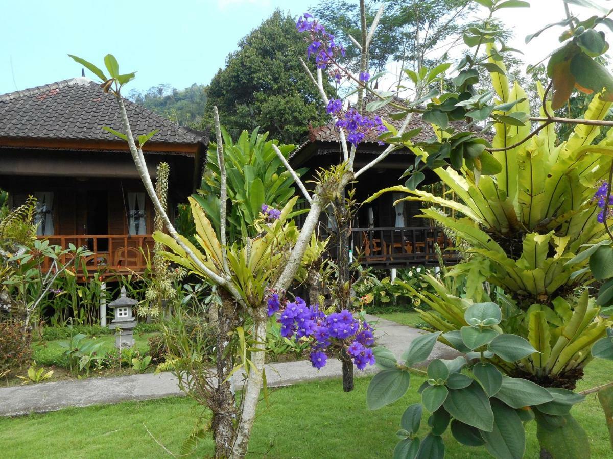 Kubu Alas Tunggal Villa Sidemen  Luaran gambar